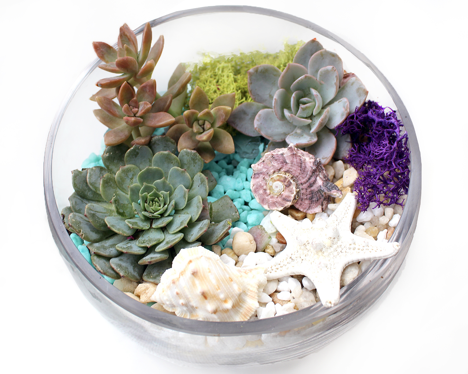 A Under the Sea Slope Bowl plant nite project by Yaymaker