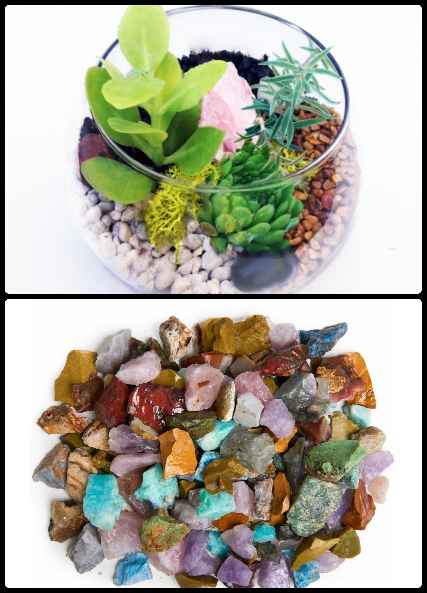 A Tranquil Choice of Healing Stone plant nite project by Yaymaker