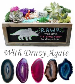 A RAWR Druzy Agate in Chalkboard plant nite project by Yaymaker