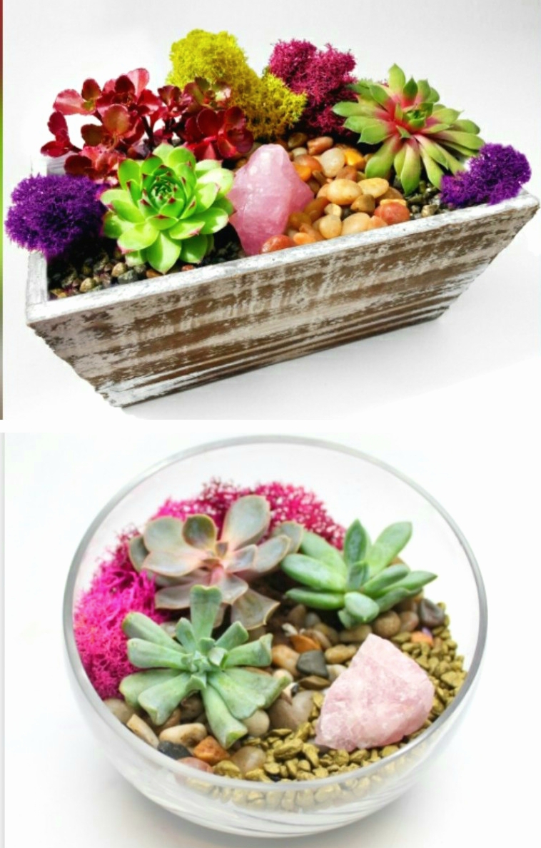 A Succulent Garden in Glass or Rustic Wood Container with Rose Quartz Crystal plant nite project by Yaymaker