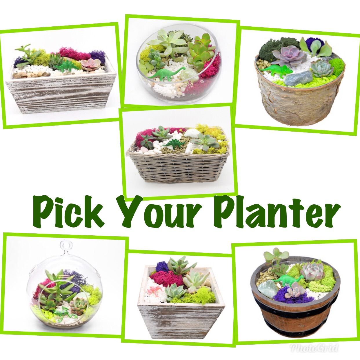 A Pick Your Planter plant nite project by Yaymaker