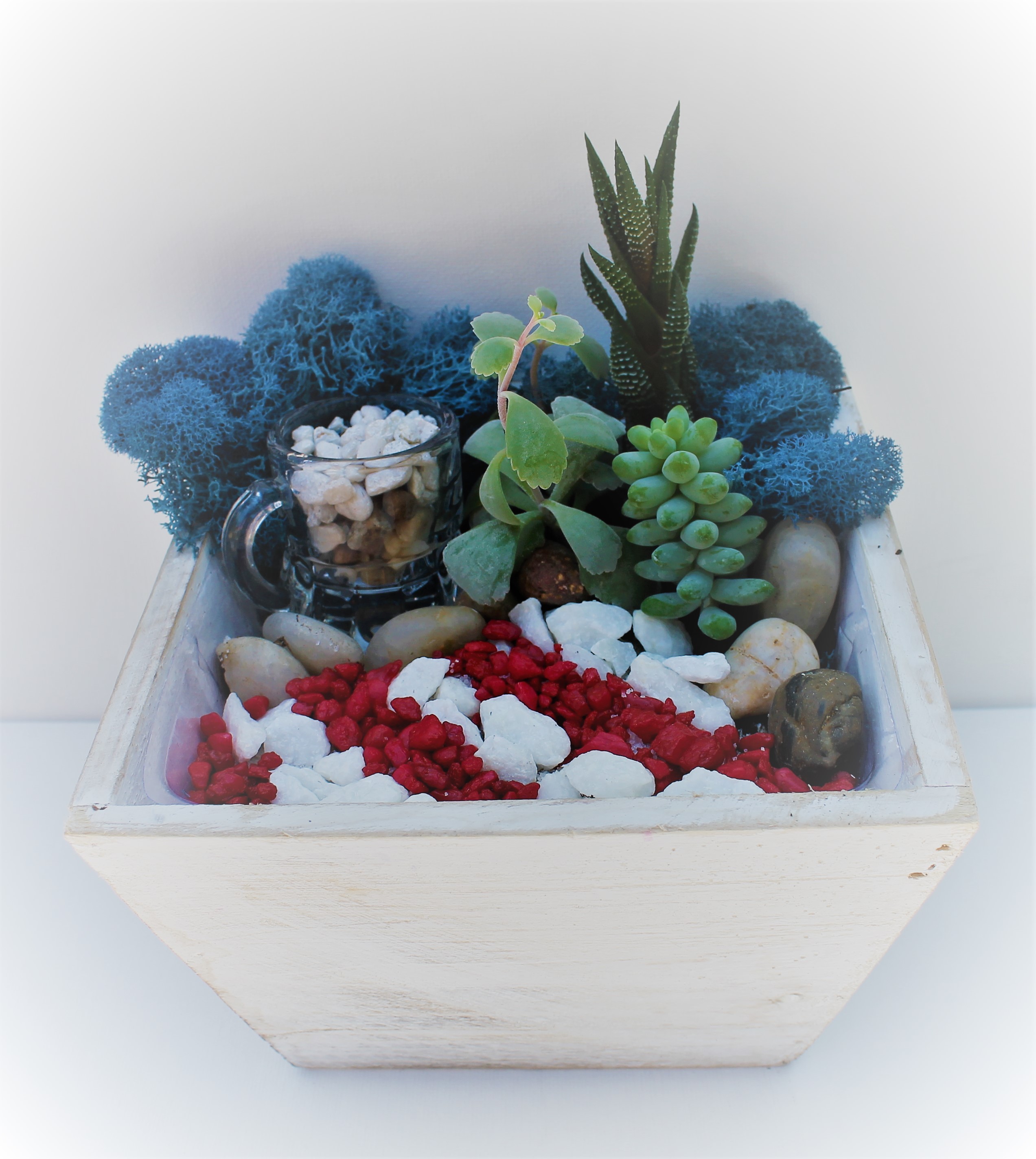 A Red White and Beer Succulent Garden in Whitewashed Wood Planter plant nite project by Yaymaker