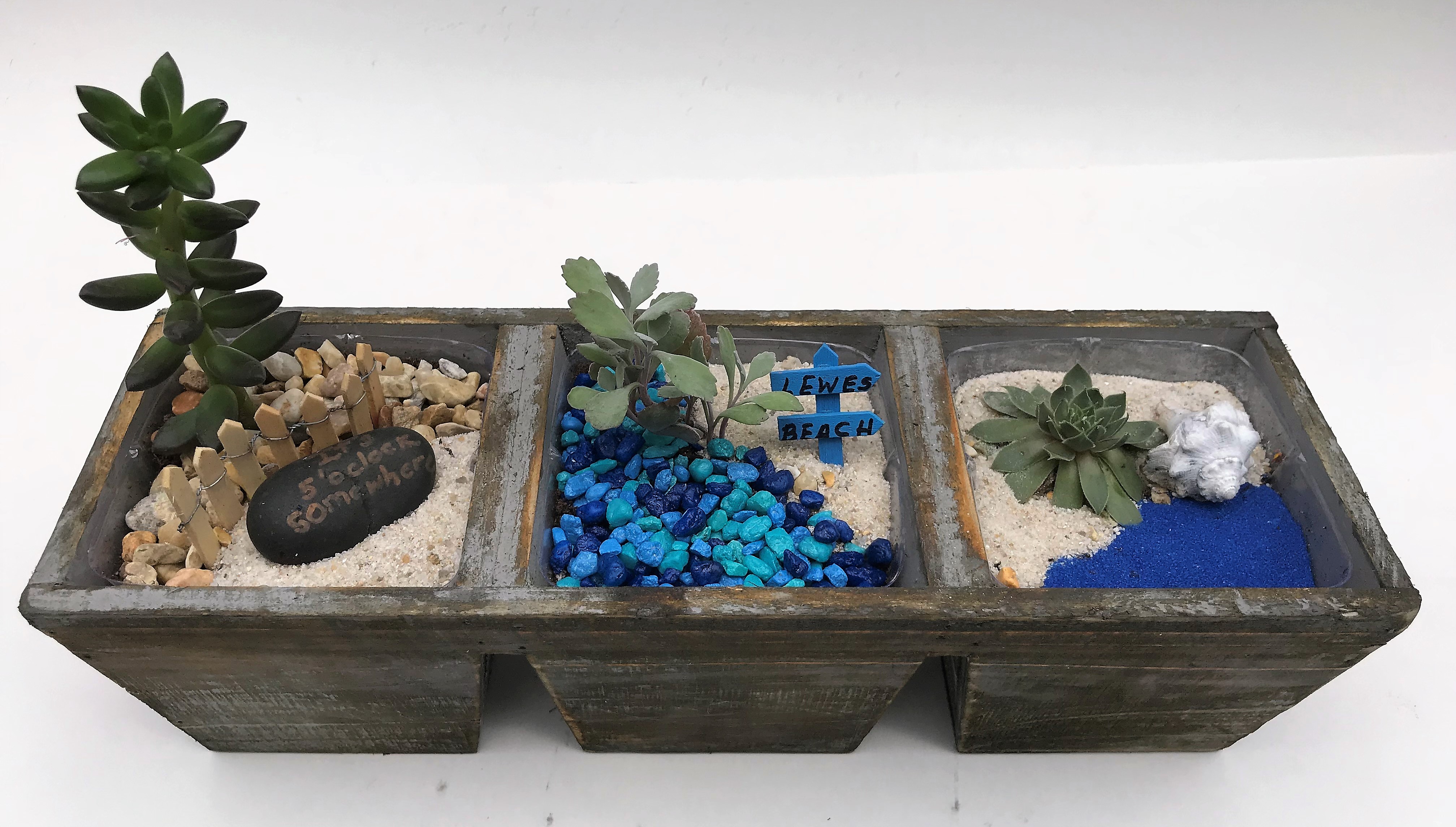 A Beach Escape  Succulents in 3 Section Planter plant nite project by Yaymaker