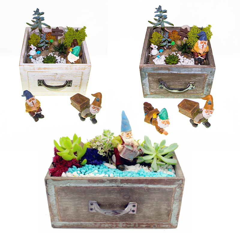A Succulent Gnome Garden Wooden Drawer Mashup plant nite project by Yaymaker