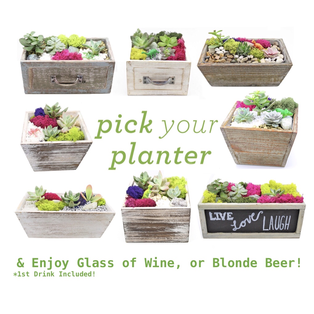 A Drink Up Pick Your Planter plant nite project by Yaymaker