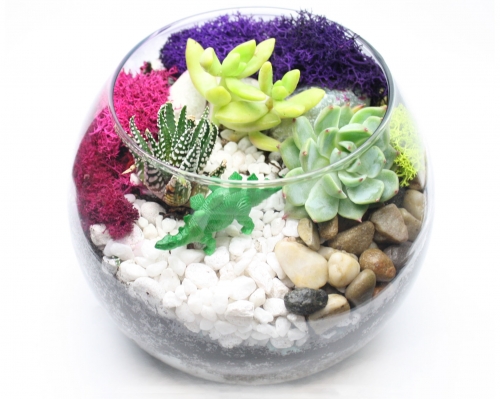 A PATIO EVENT Succulent Terrarium in Rose Bowl plant nite project by Yaymaker