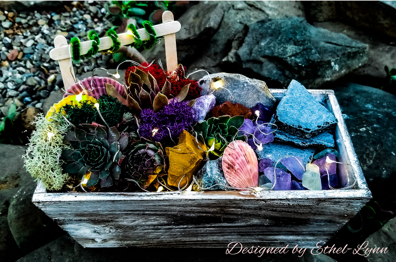 A A MidSummer Nights Dream Succulent Garden with Fairy Lights Terrarium plant nite project by Yaymaker