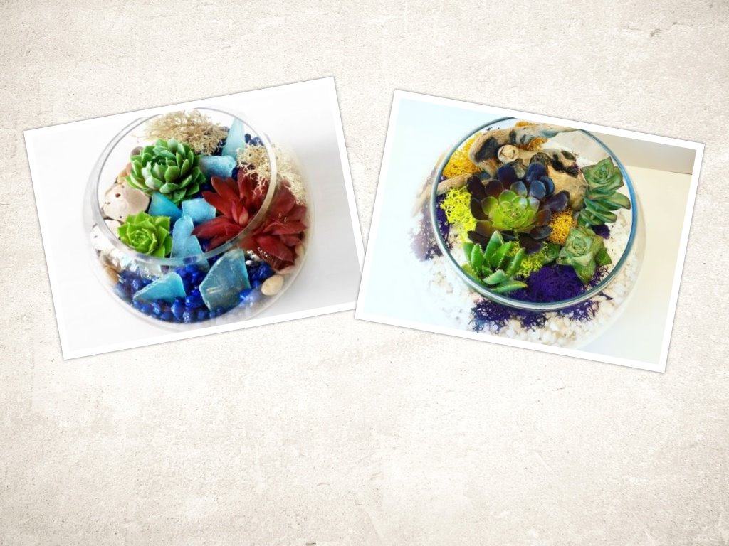 A Succulents in Glass BowlPick Your Design plant nite project by Yaymaker