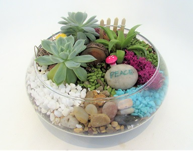 A Succulents in Lily Bowl plant nite project by Yaymaker