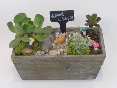 A Distressed Rectangle Planter with Succulents plant nite project by Yaymaker