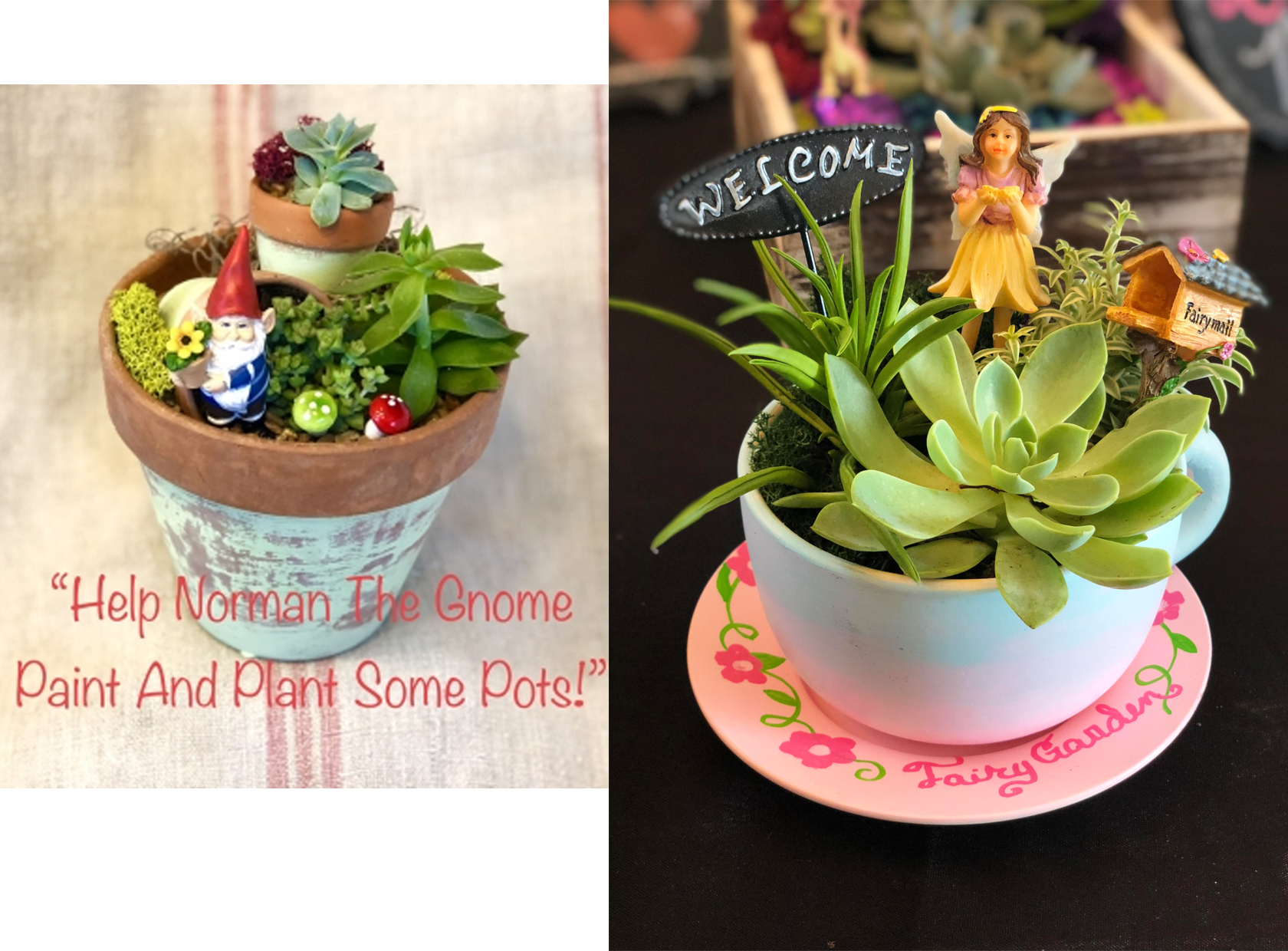 A Gnome or Fairy Garden Paint Your Pot or Teacup plant nite project by Yaymaker