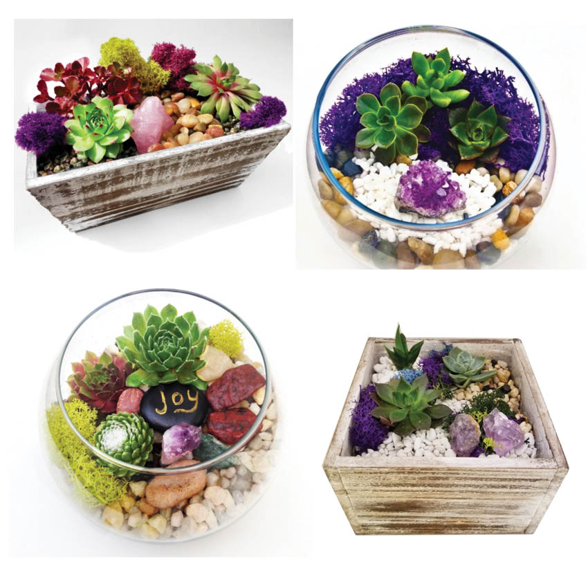 A You Pick Terrarium with Amethyst Wooden and Glass plant nite project by Yaymaker