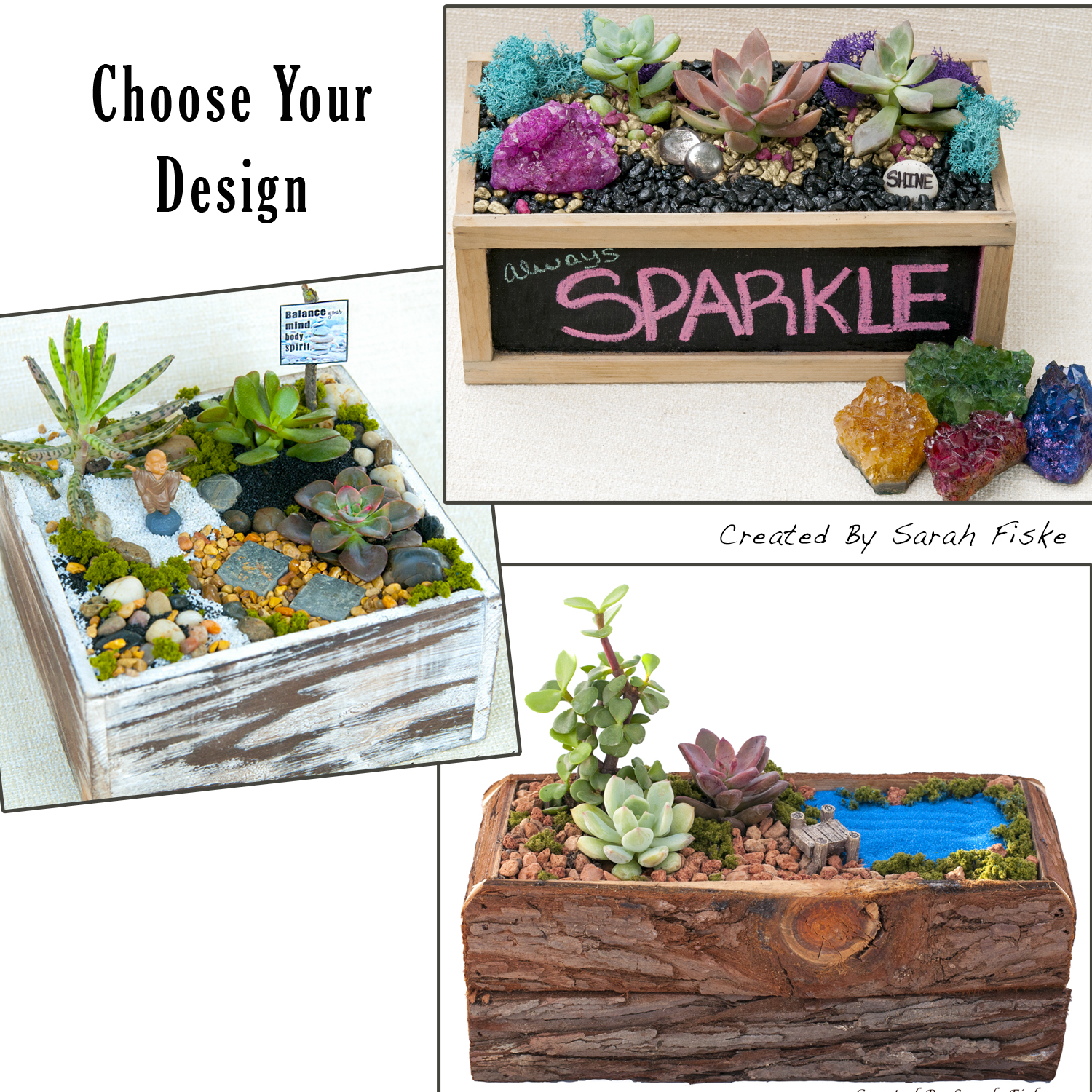 A ZEN Sparkle or Log Lake plant nite project by Yaymaker