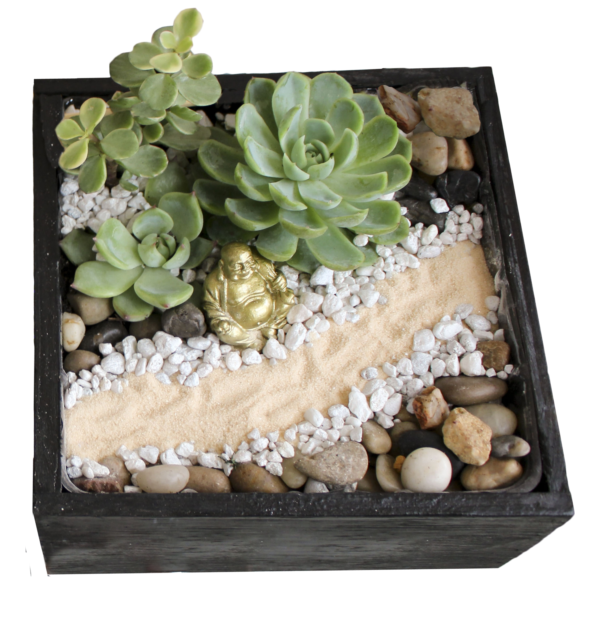 A The Path to Buddha Zen Garden plant nite project by Yaymaker