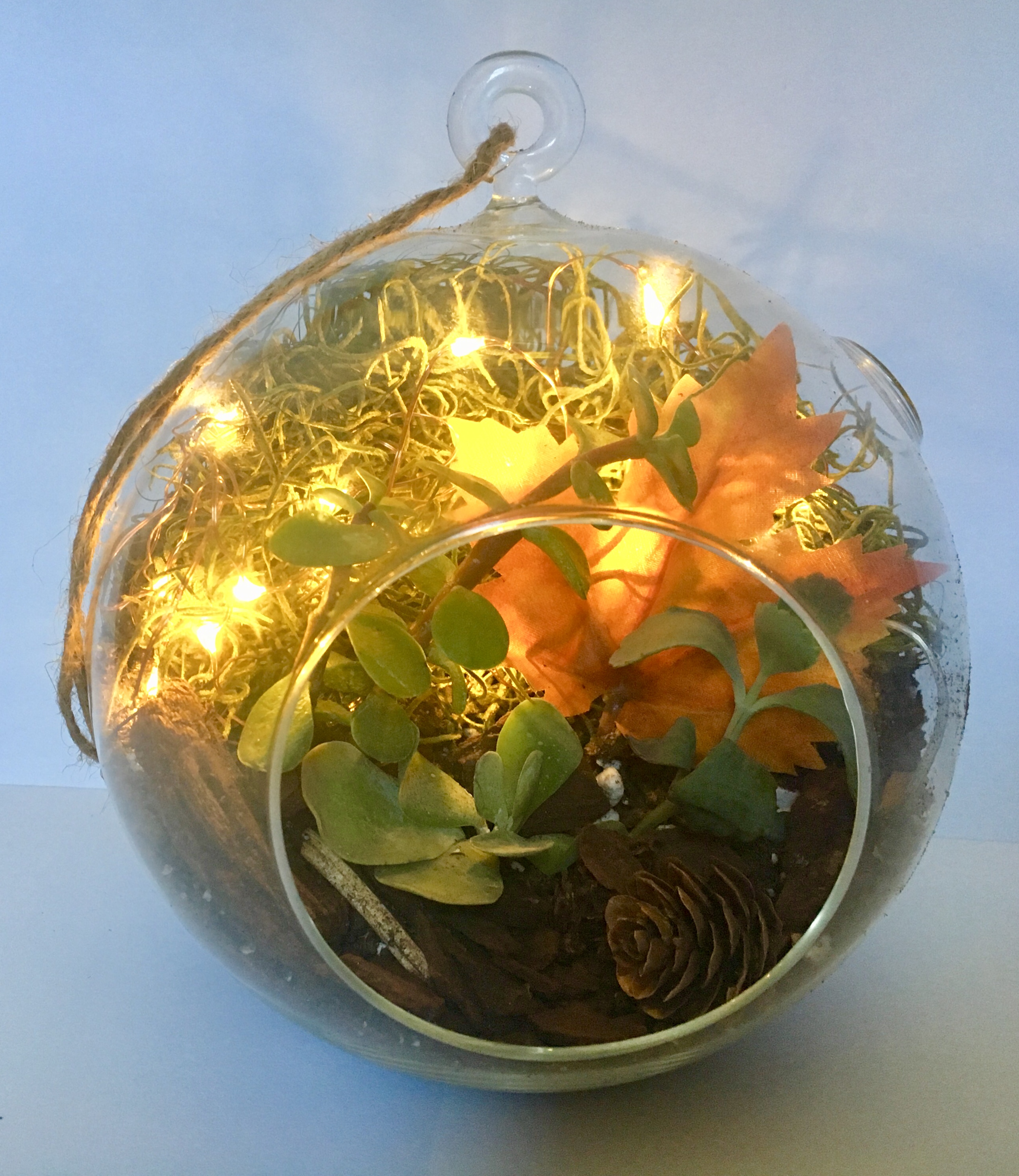 A Fall Fairy Light Succulent Terrarium in Hanging Glass Globe plant nite project by Yaymaker