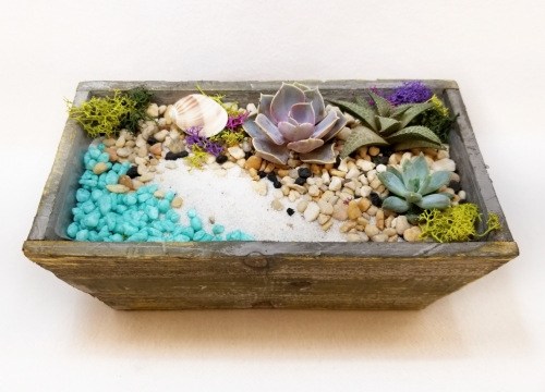 A Beach Scene Terrarium in Distressed Wooden Planter plant nite project by Yaymaker
