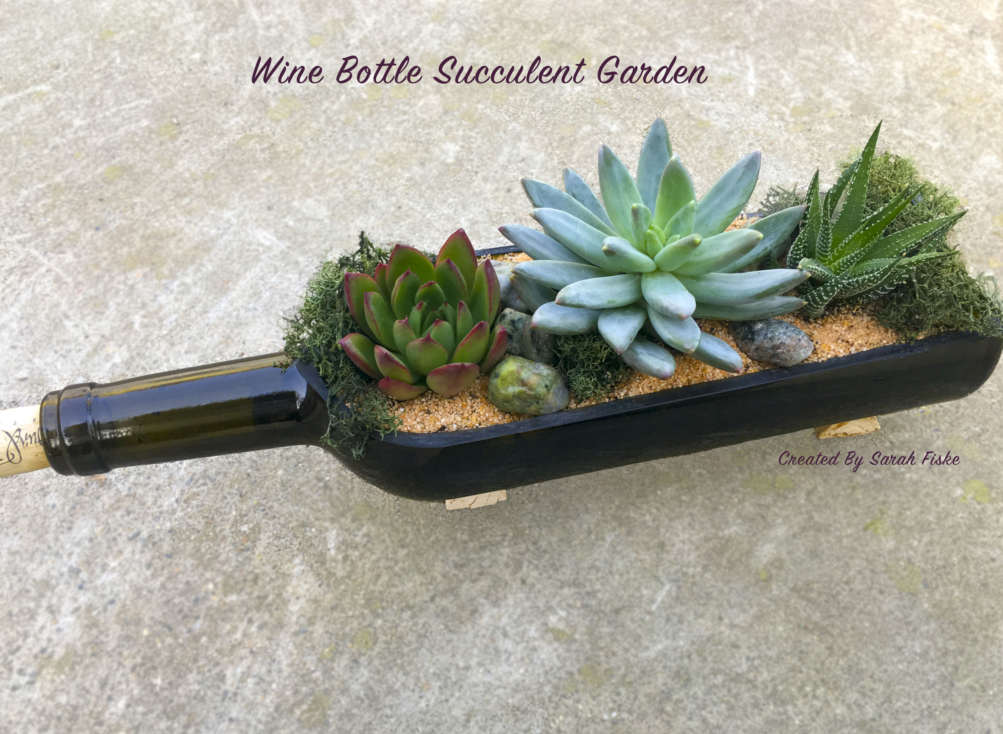 A Succulent Wine Bottle plant nite project by Yaymaker