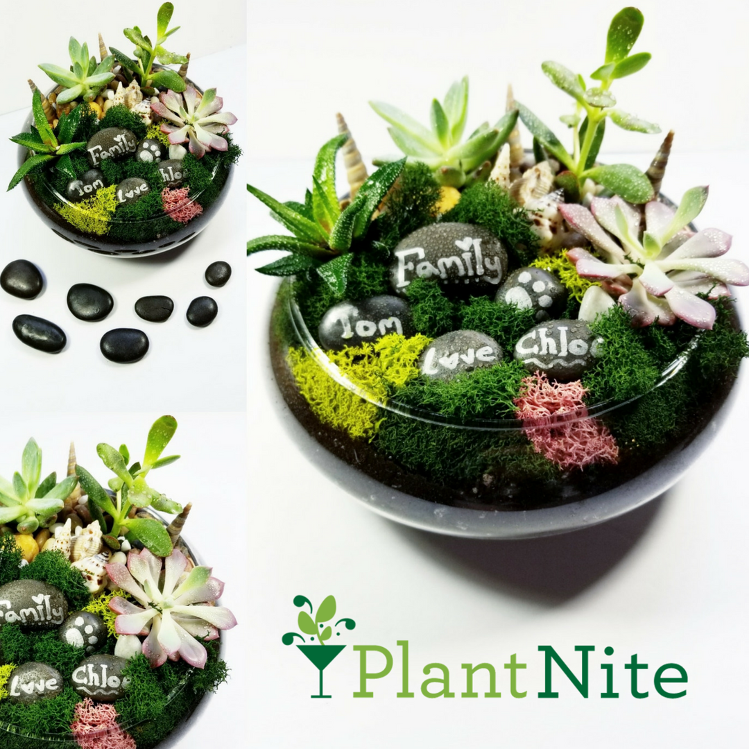 A Lily Bowl Garden with Wish Stones  x4 Succulents plant nite project by Yaymaker