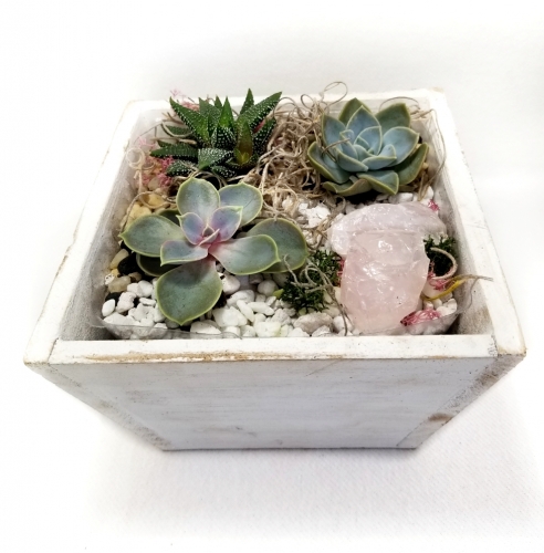 A Rose Quartz and Succulents in Wooden Planter plant nite project by Yaymaker