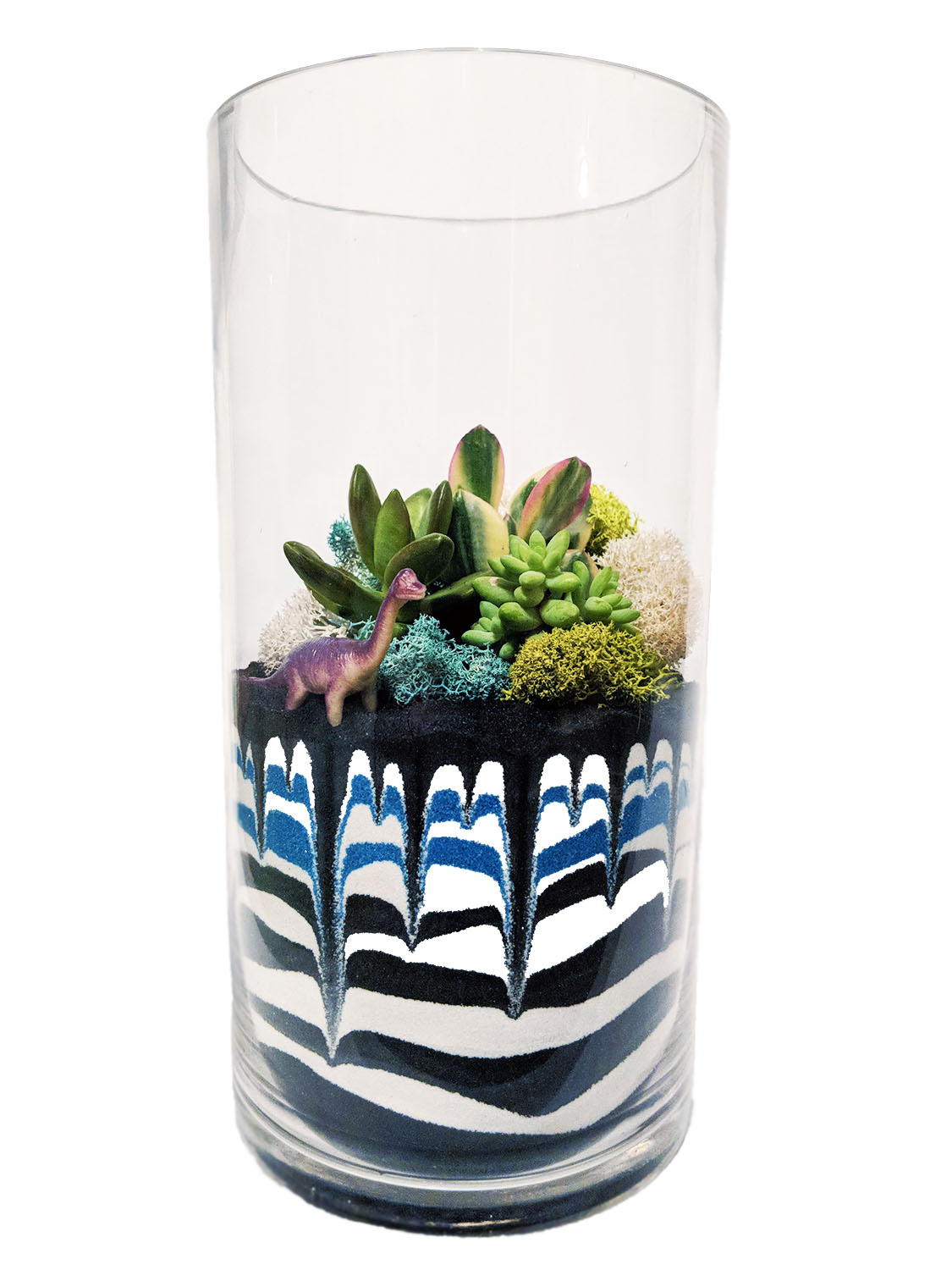 A Modern Sand Art Succulents in Gorgeous Glass Vase plant nite project by Yaymaker