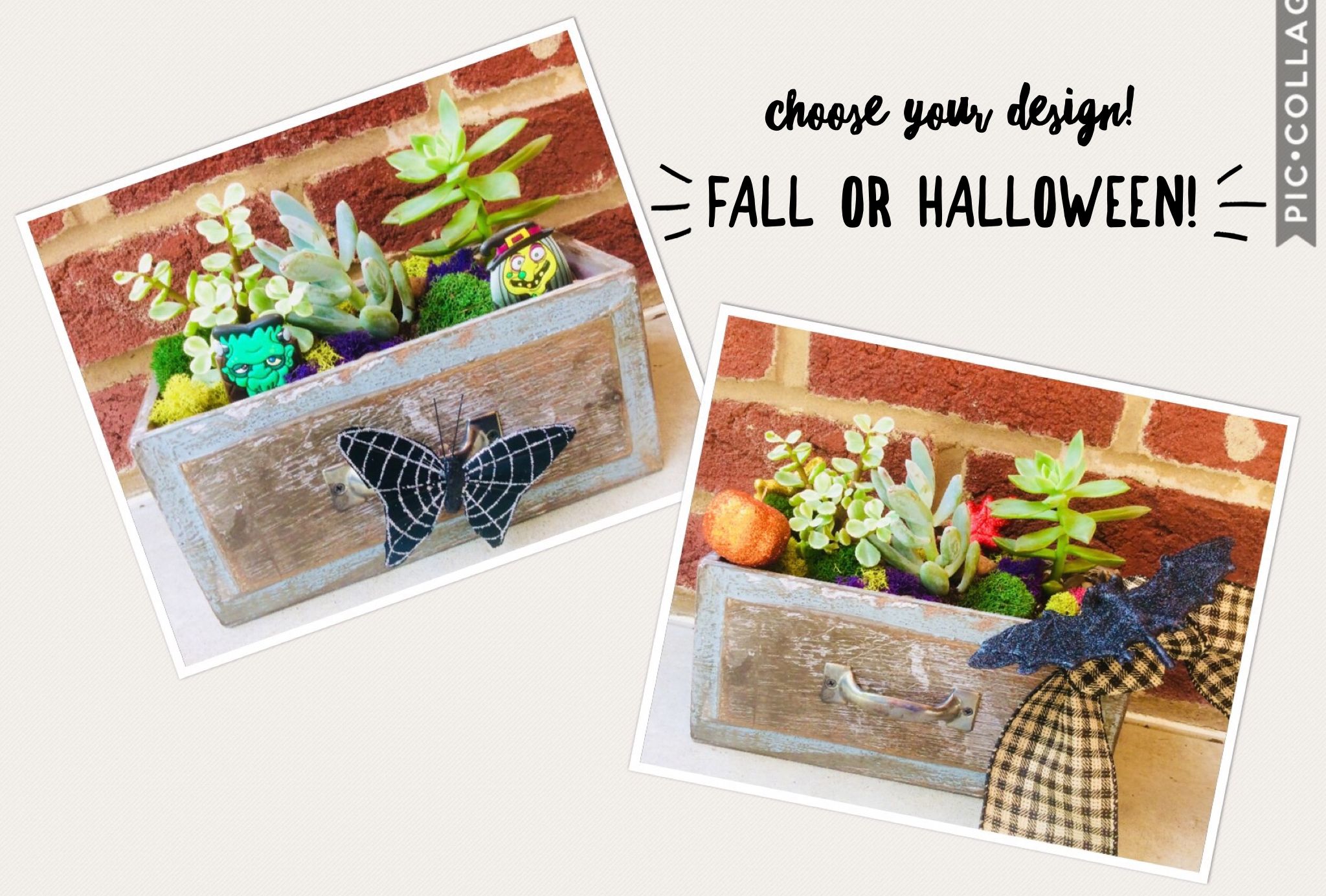 A Choose your fall design plant nite project by Yaymaker