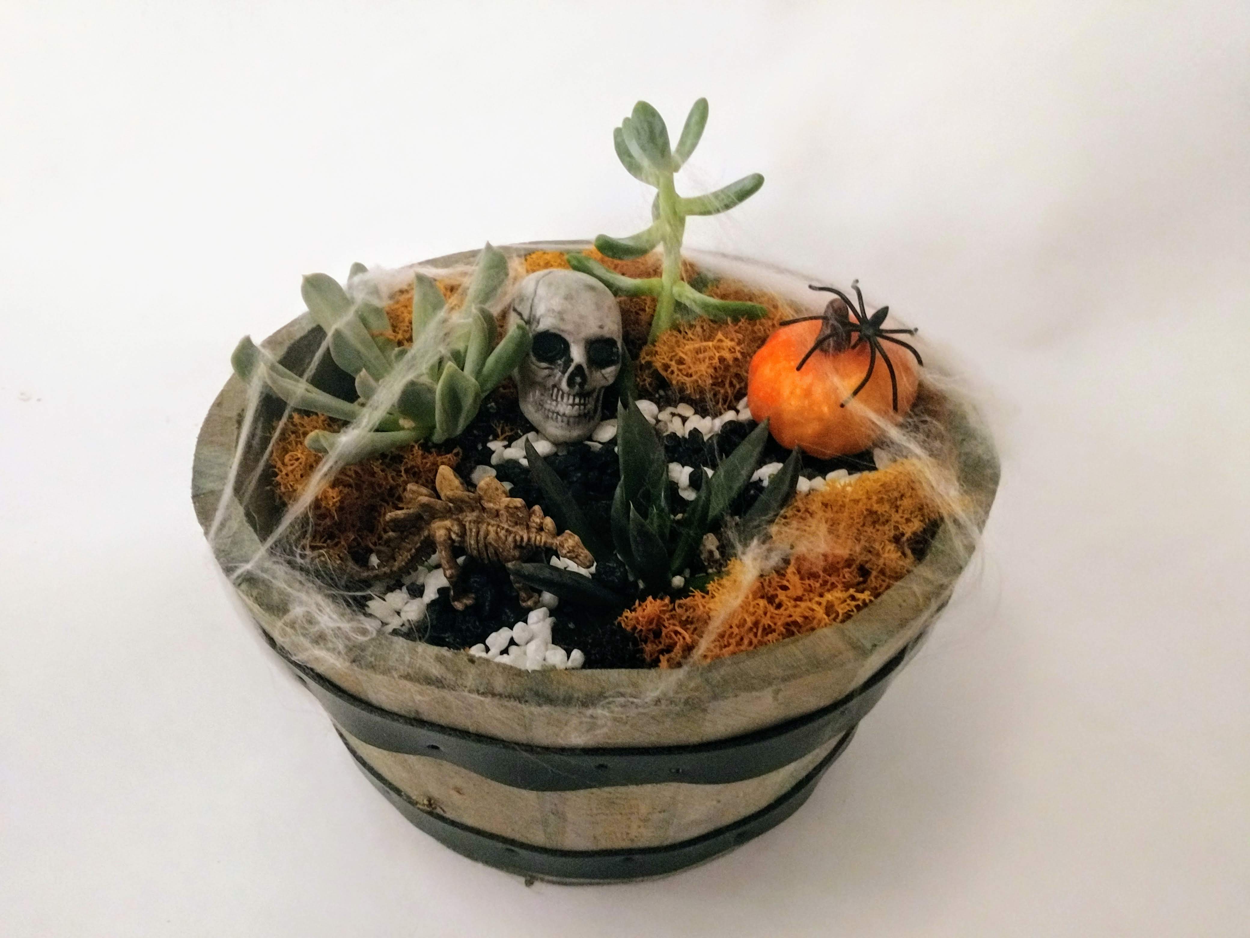 A Haunted Succulent Garden in Whiskey Barrel plant nite project by Yaymaker