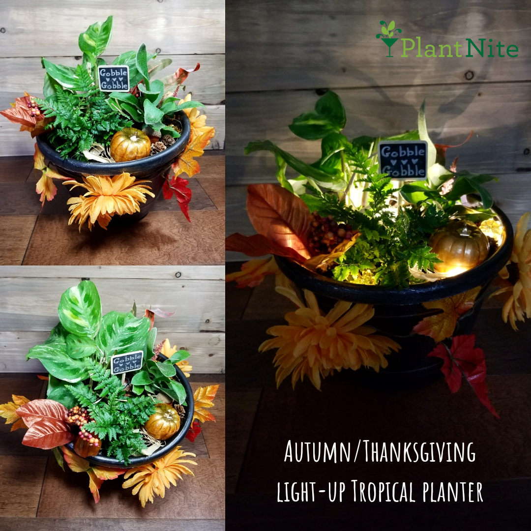 A AutumnThanksgiving Lightup Tropical Planter plant nite project by Yaymaker