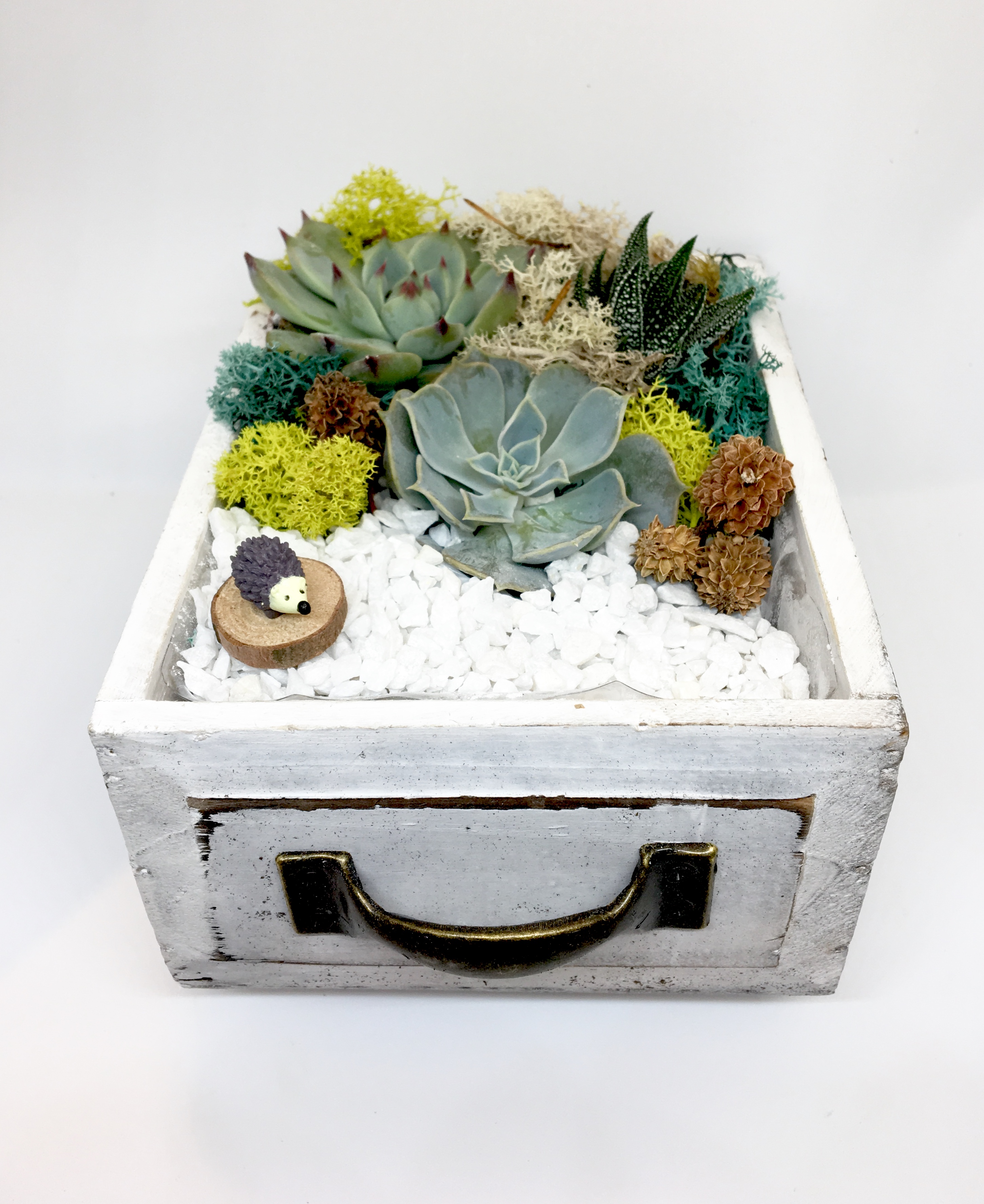 A Hedgehog Wood Drawer plant nite project by Yaymaker