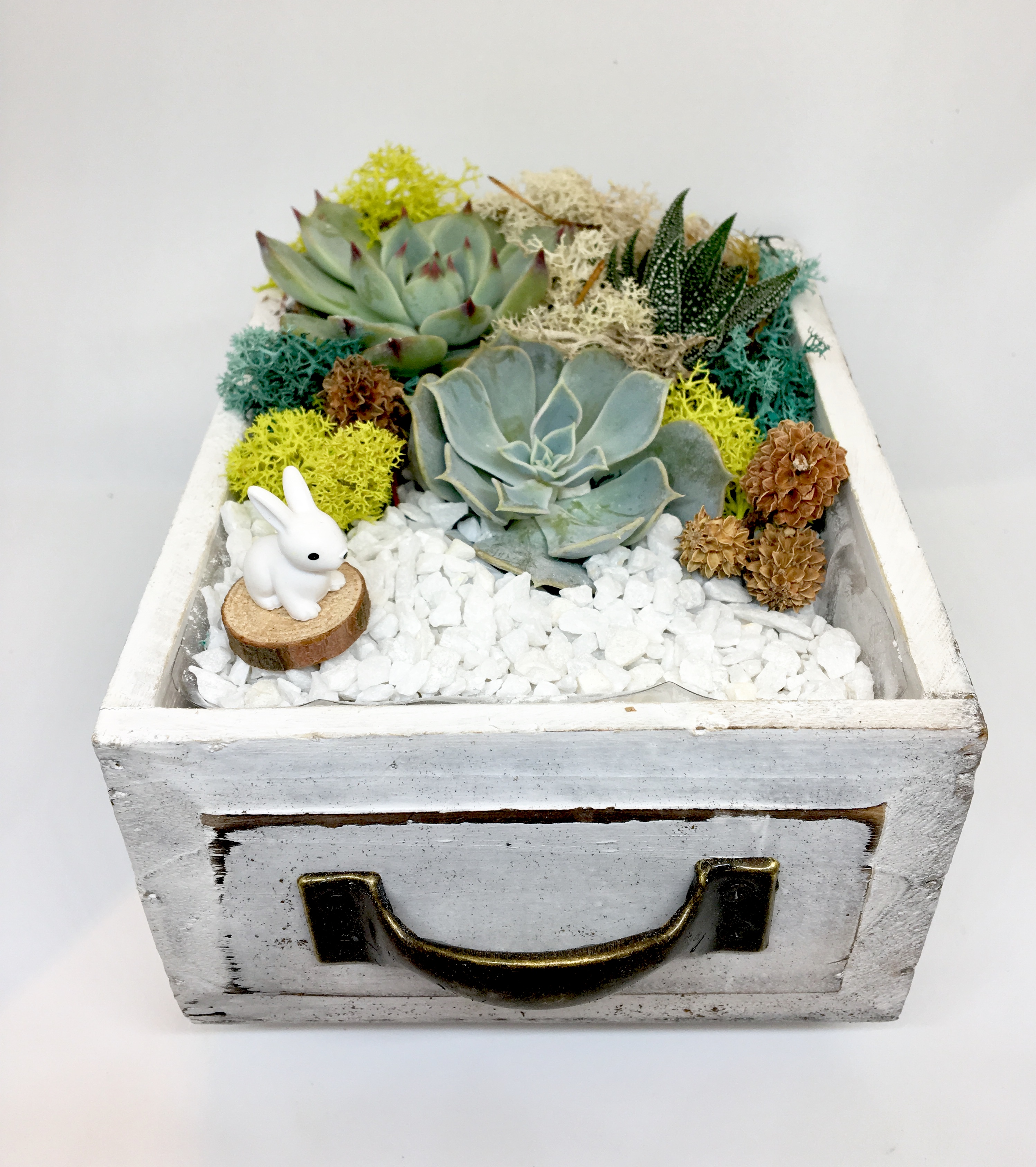 A Bunny Wood Drawer plant nite project by Yaymaker