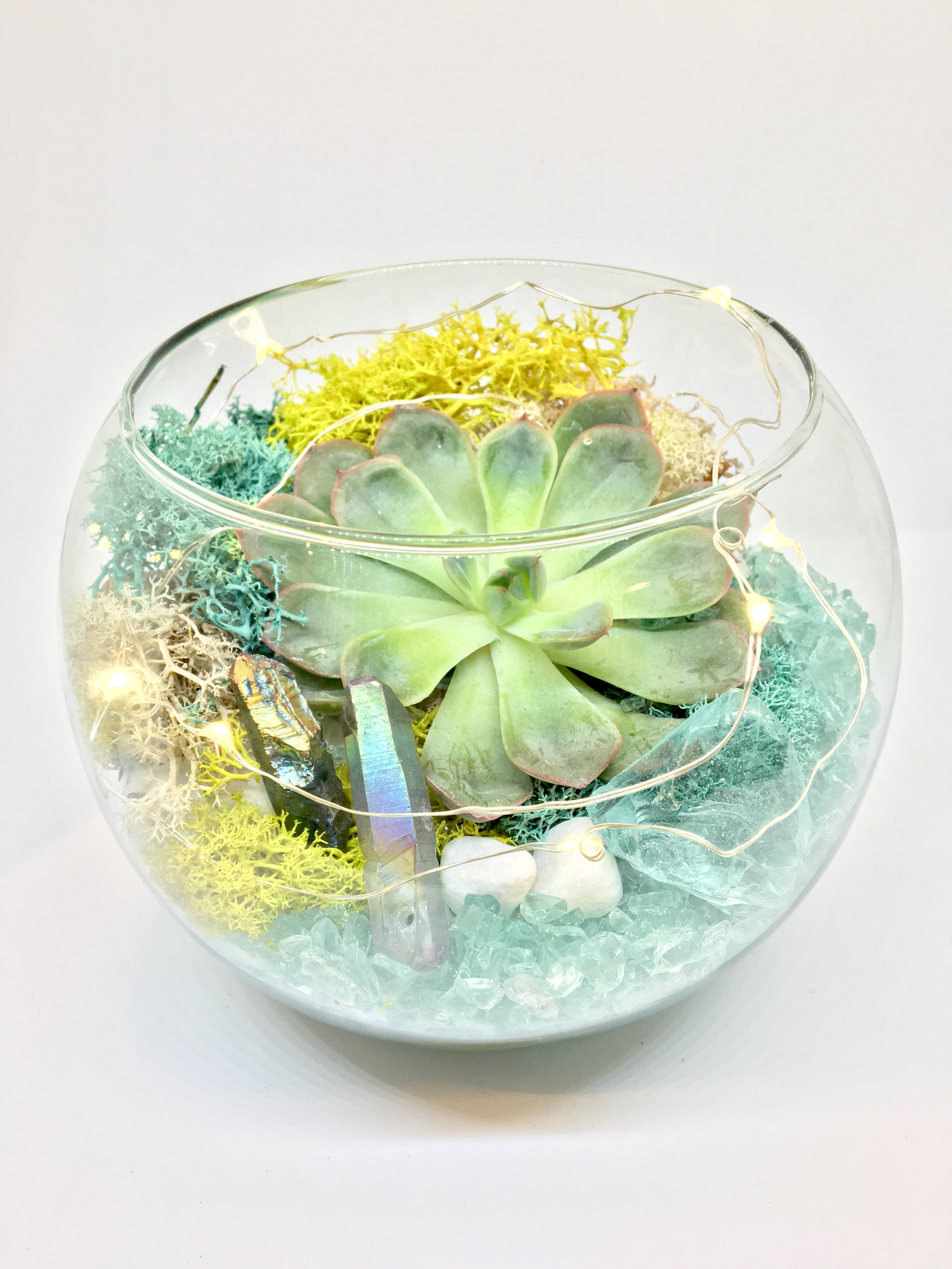 A Crystal Elements  Rose Bowl with Fairy Lights plant nite project by Yaymaker