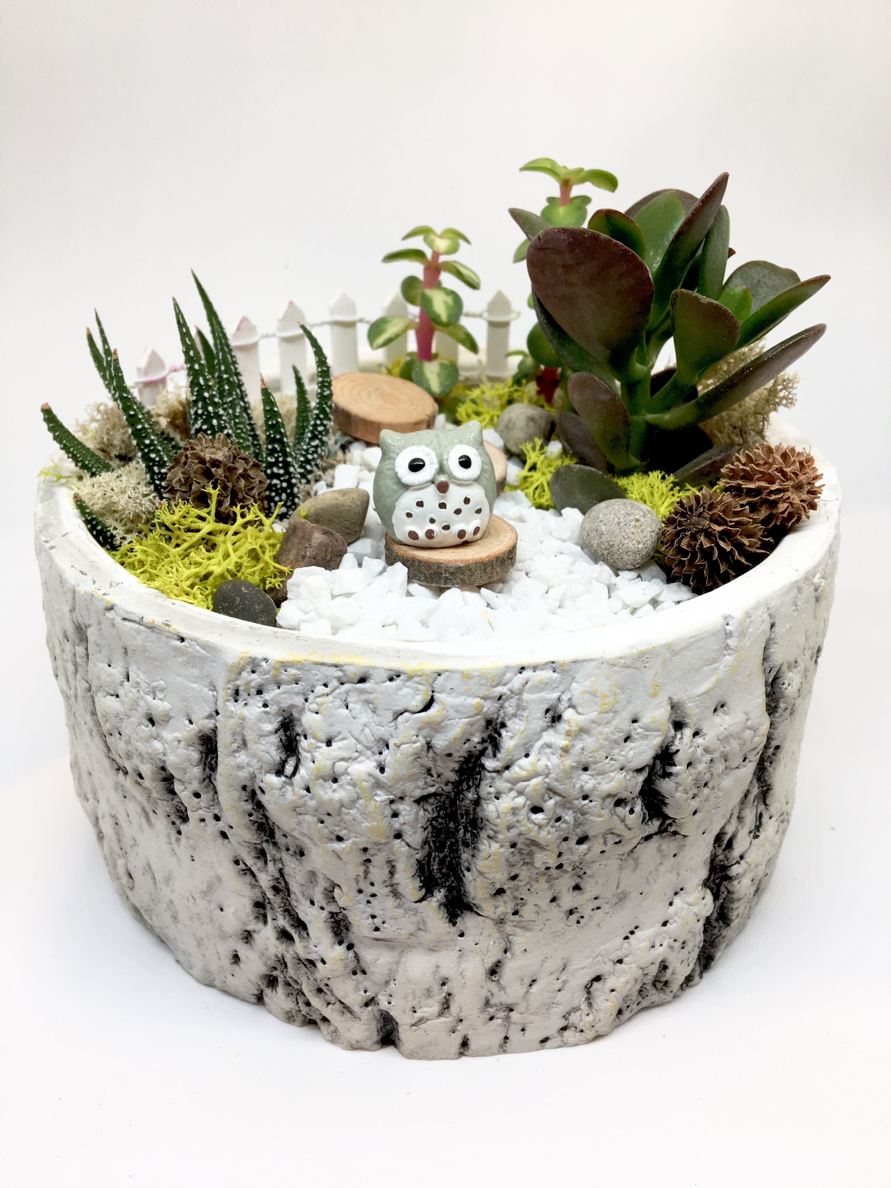 A Owl Garden  Premium Birch Bowl plant nite project by Yaymaker