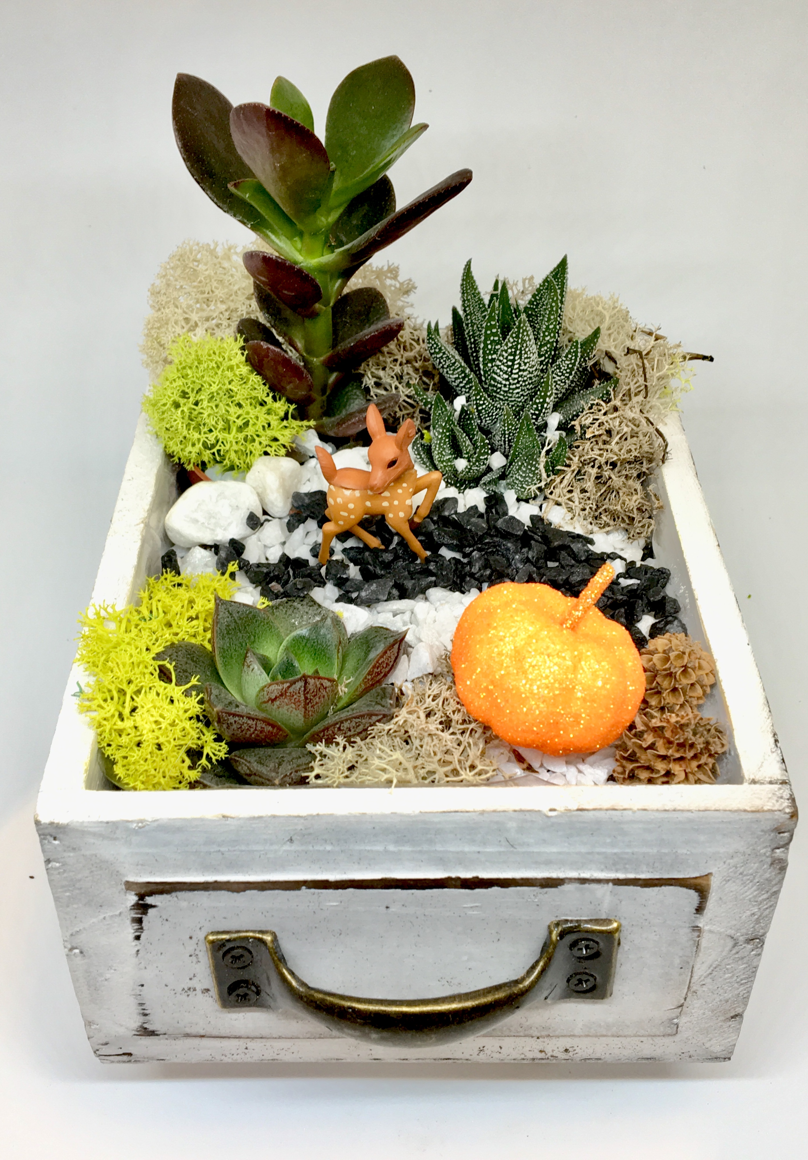A Fall Forest Wood Drawer plant nite project by Yaymaker