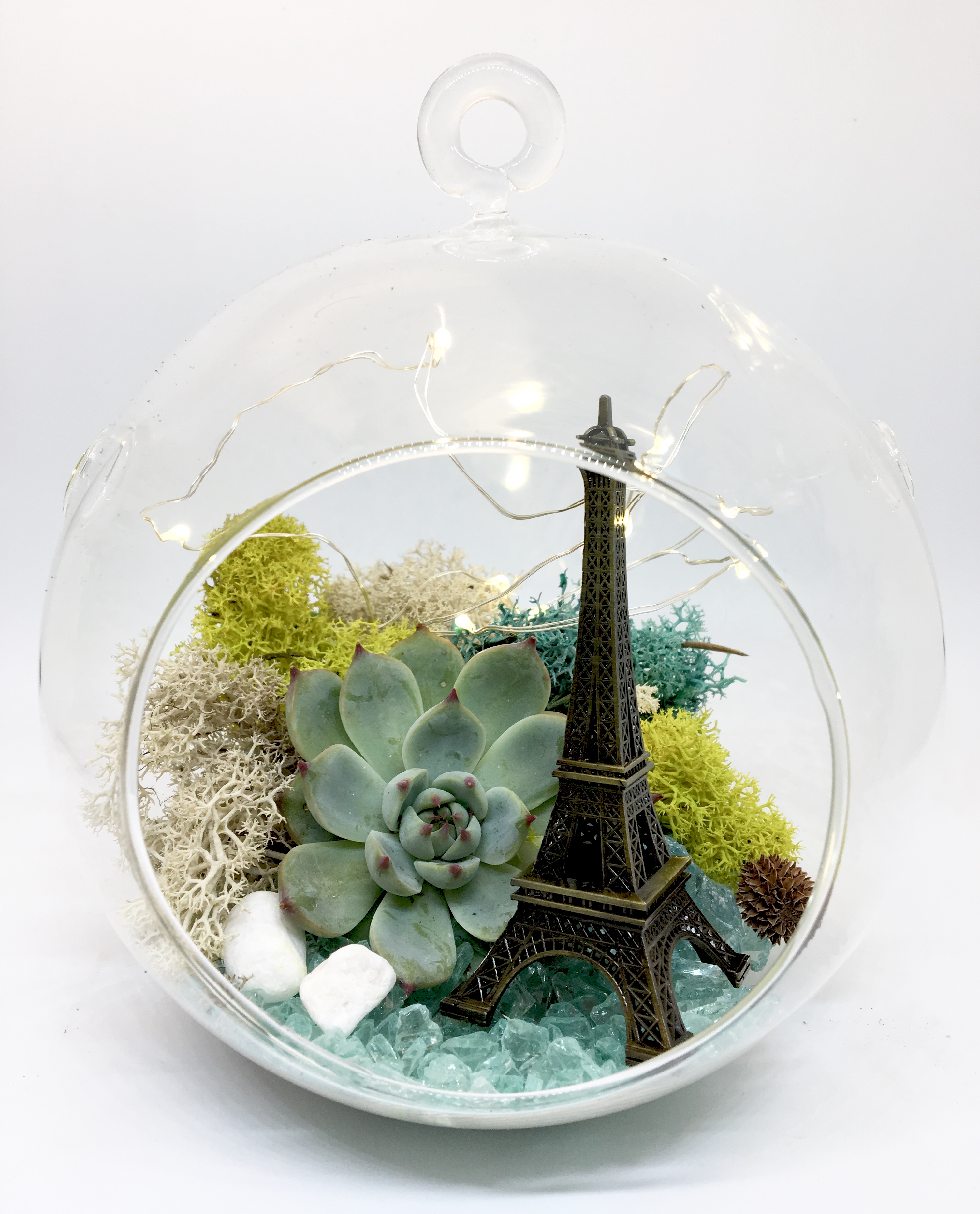 A Paris Hanging Globe with Fairy Lights plant nite project by Yaymaker
