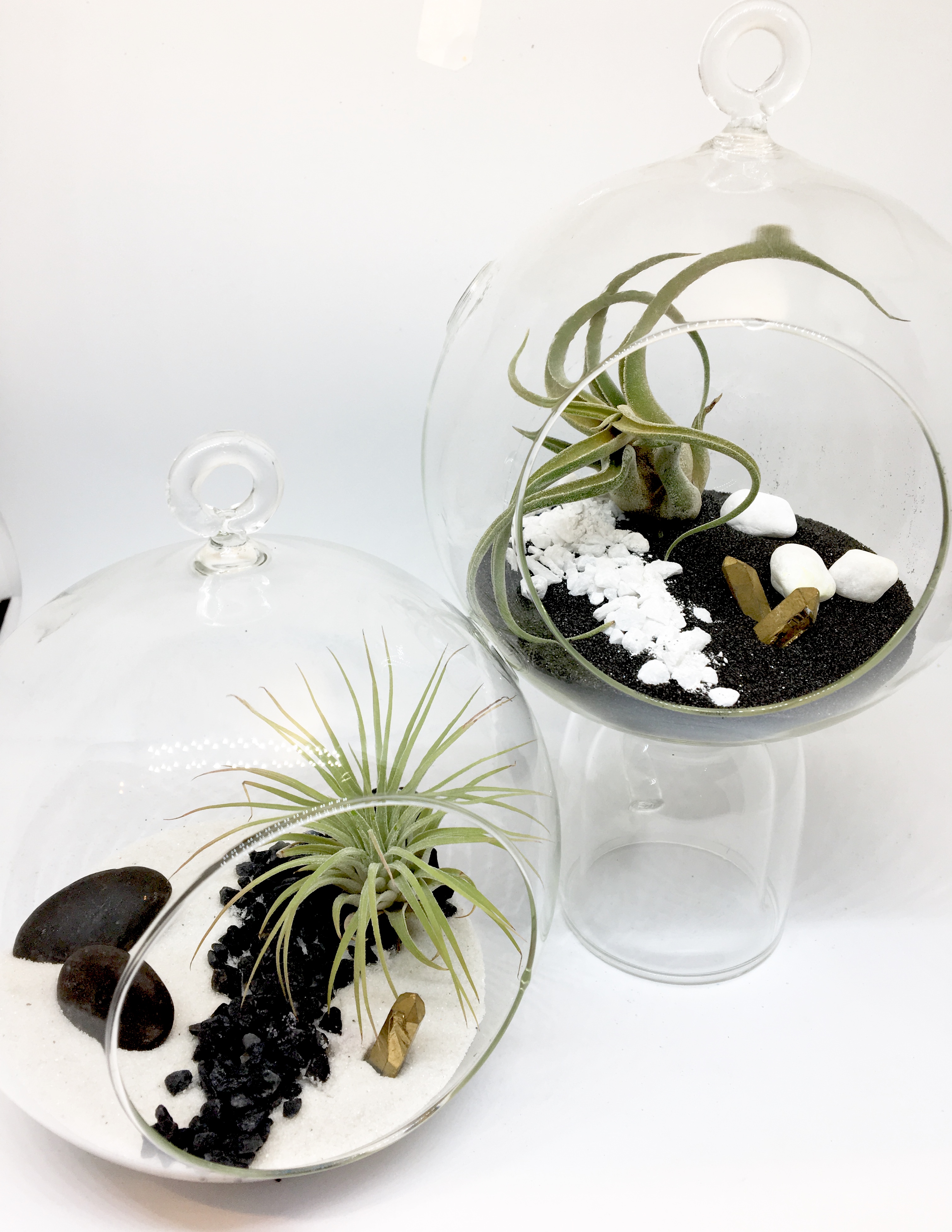 A Air Plant  Small Hanging Globe Pair of Planters  Crystal Yin Yang plant nite project by Yaymaker