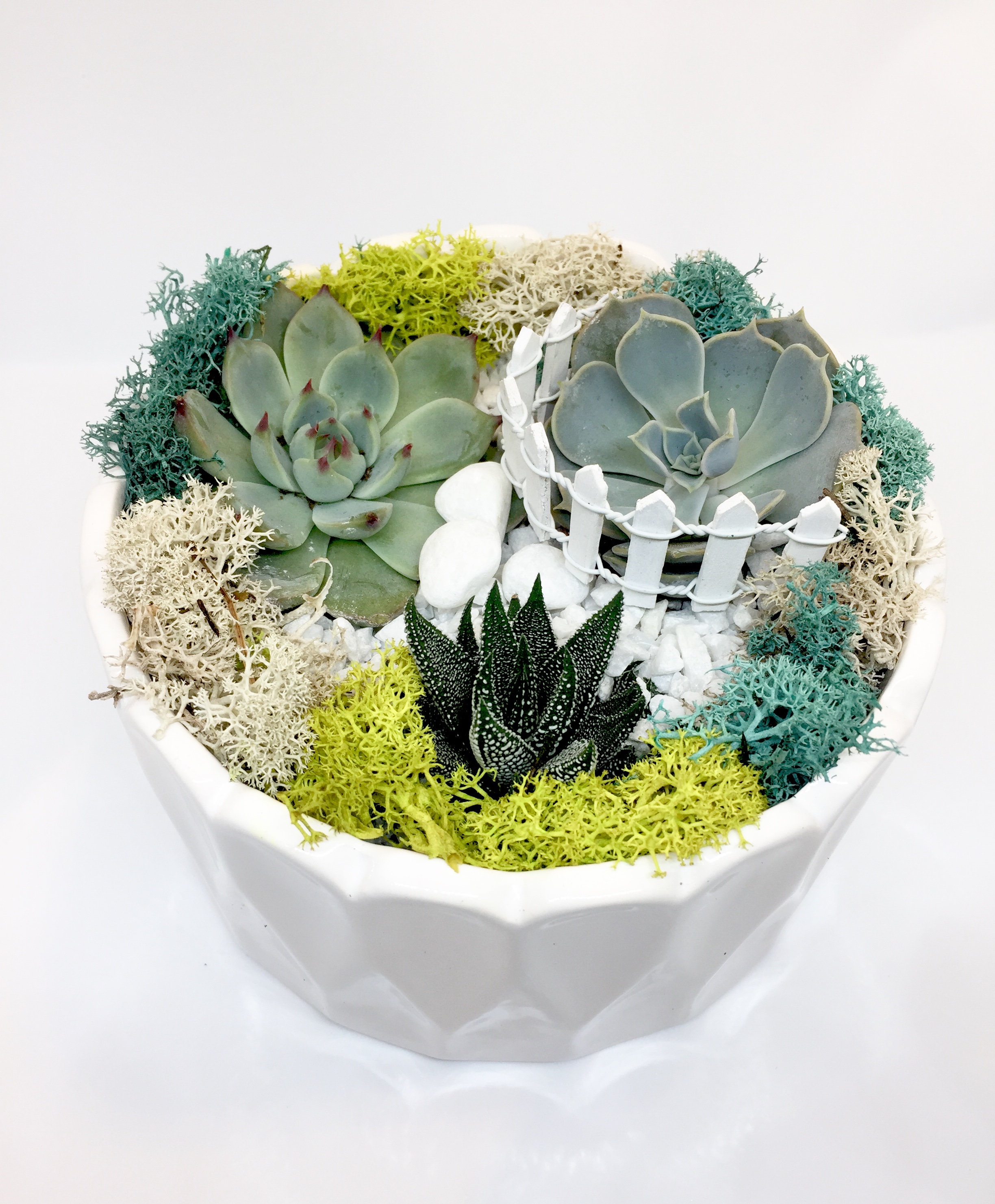 A Natural Garden  White Round Ceramic plant nite project by Yaymaker
