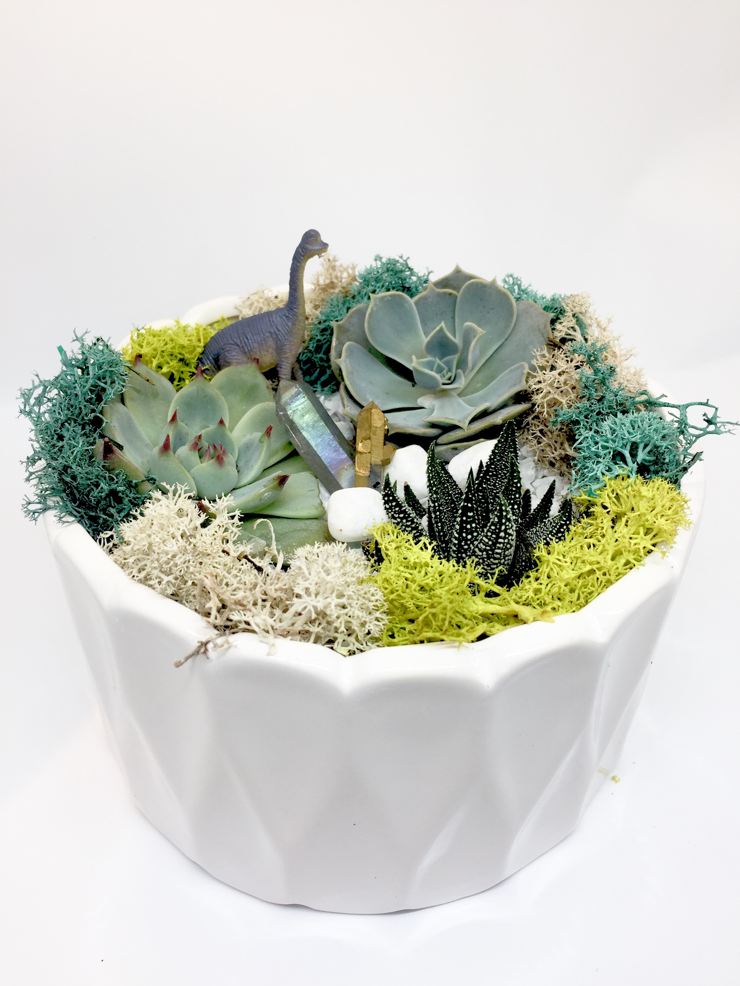 A Dino Crystal Garden  White Round Ceramic plant nite project by Yaymaker