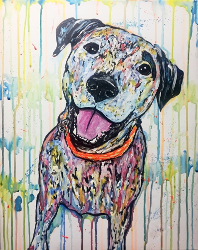 A Paint Your Pet  Custom Splash III paint nite project by Yaymaker