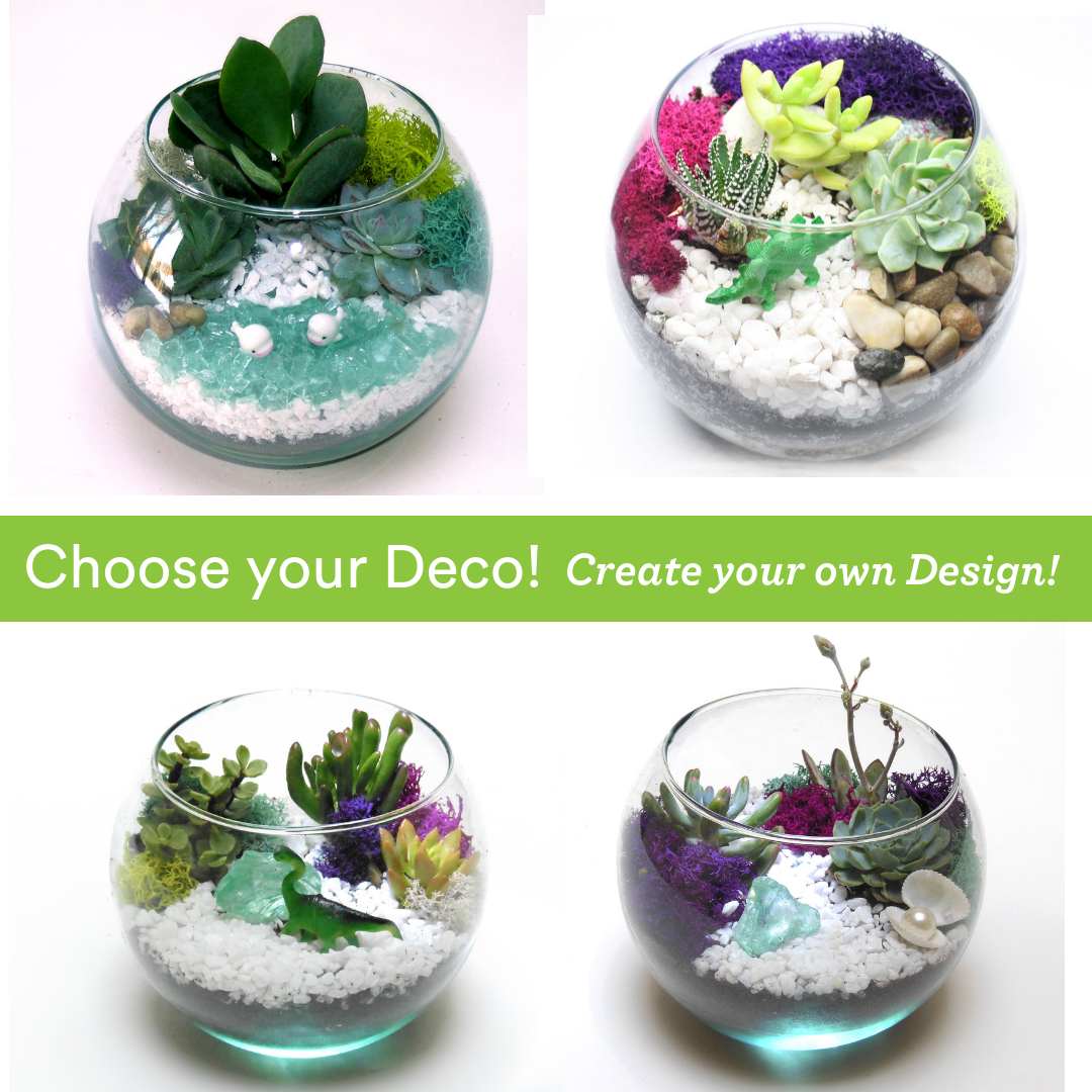 A Choose your Deco  Rose Bowl plant nite project by Yaymaker