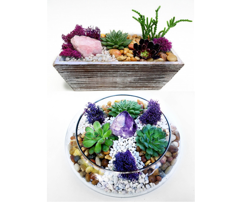 A Choose Between Distressed Wood or Glass Container with Amethyst or Rose Quartz Crystal plant nite project by Yaymaker