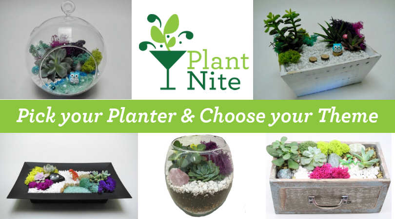 A Pick your Planter  Theme plant nite project by Yaymaker