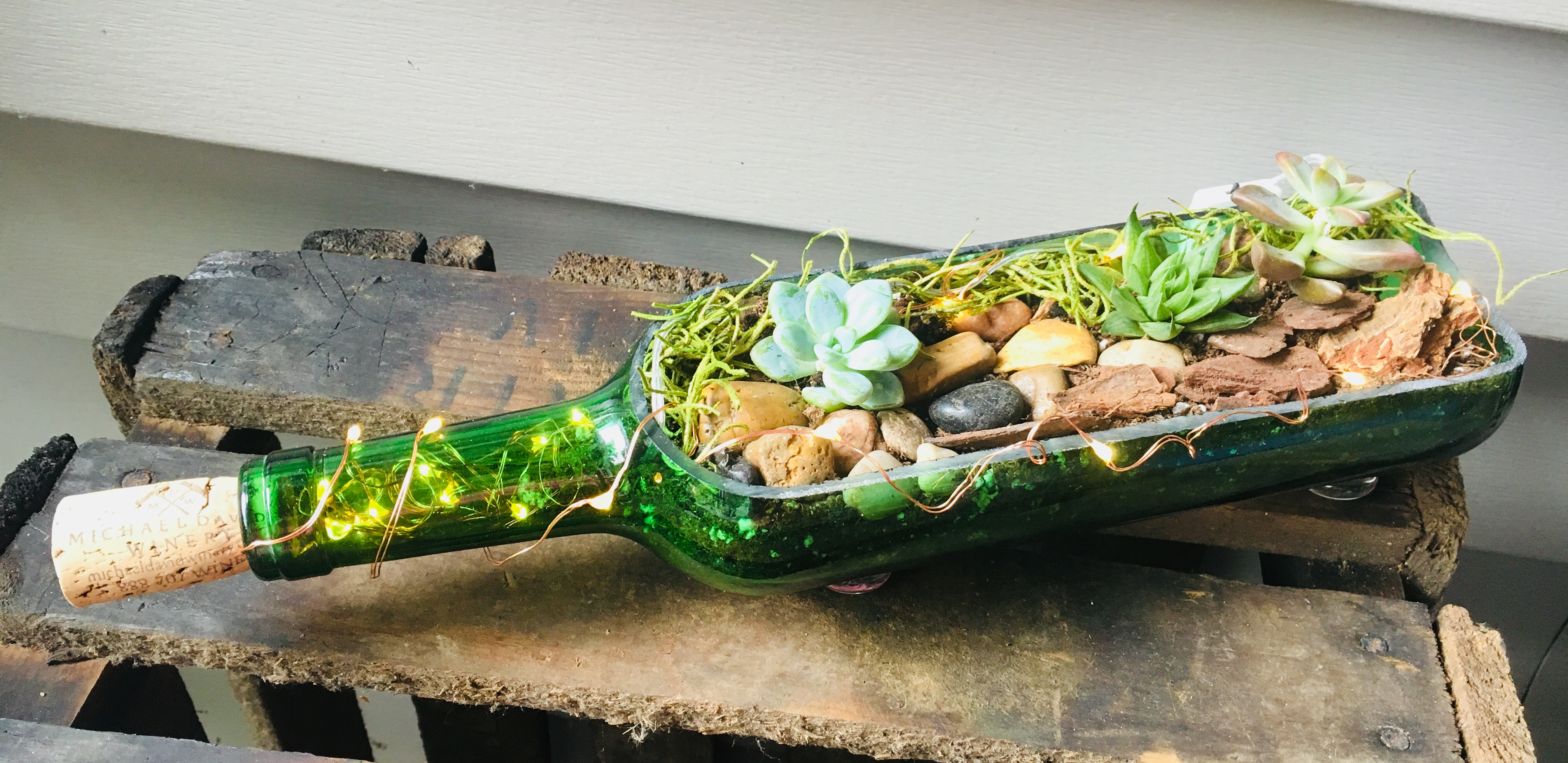 A Fairy Light Succulent Terrarium in Wine Bottle Planter plant nite project by Yaymaker