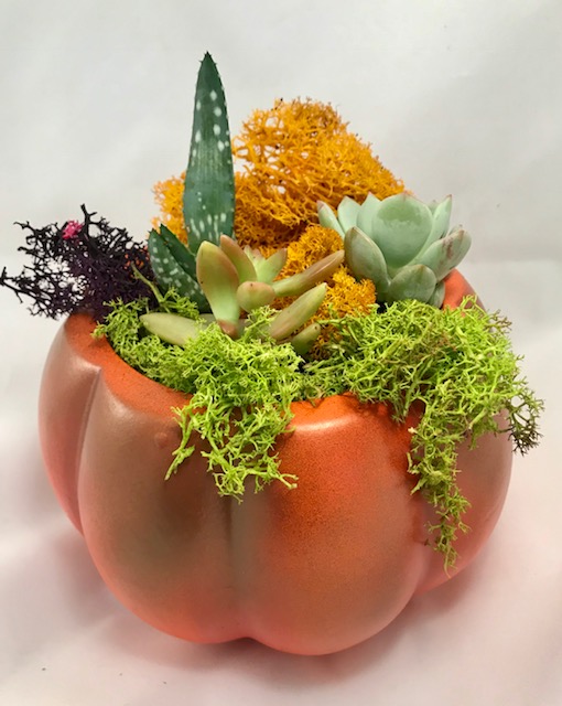 A Ceramic Pumpkin plant nite project by Yaymaker