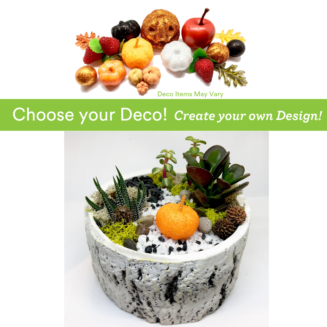 A Choose your Deco  Autumn Harvest Birch Bowl plant nite project by Yaymaker