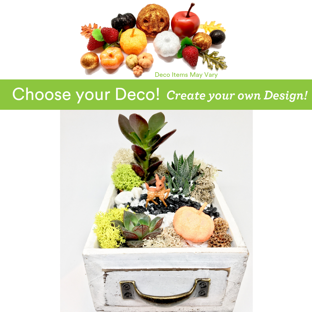 A Choose your Deco  Autumn Harvest Deer Drawer plant nite project by Yaymaker
