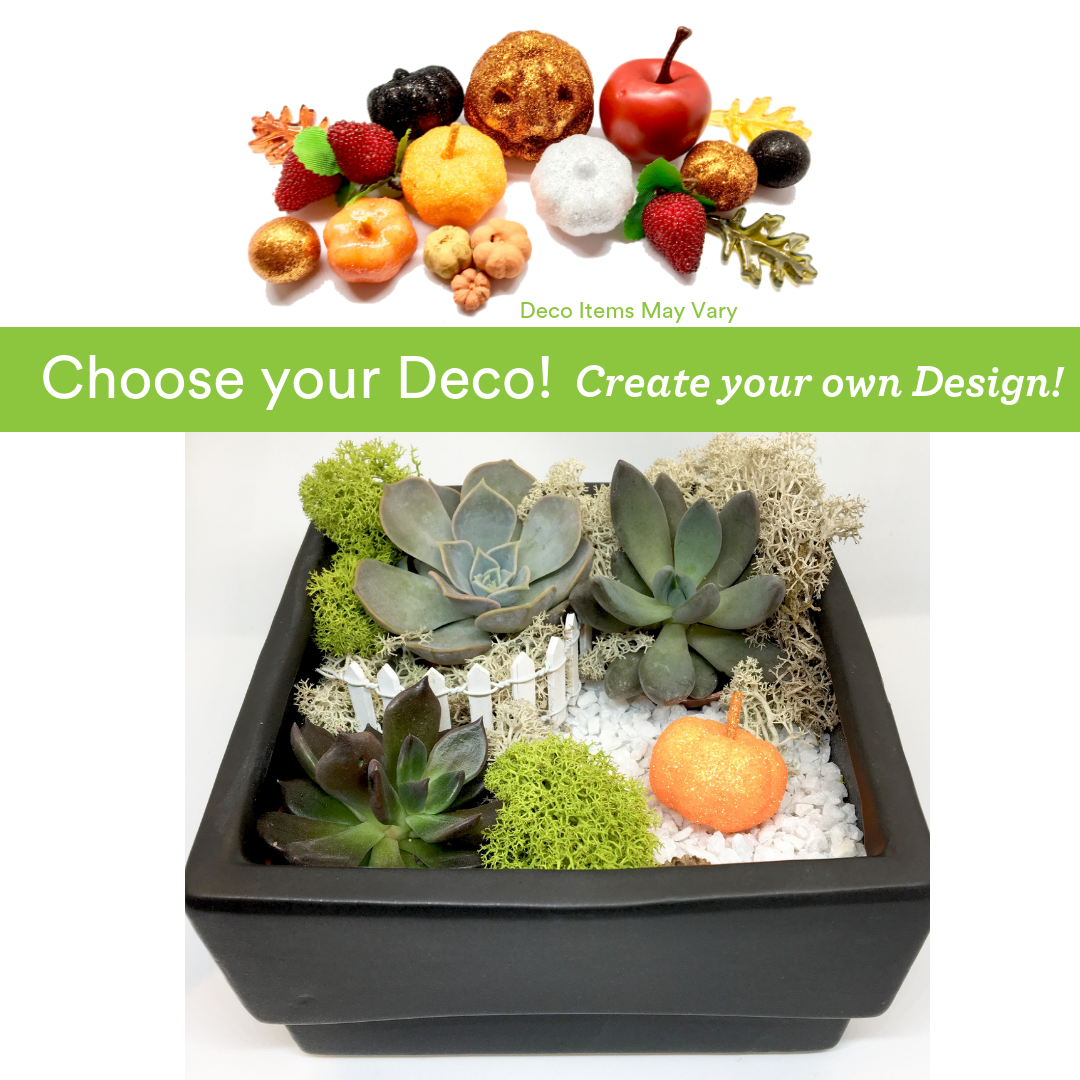 A Choose your Deco  Autumn Harvest Ceramic plant nite project by Yaymaker