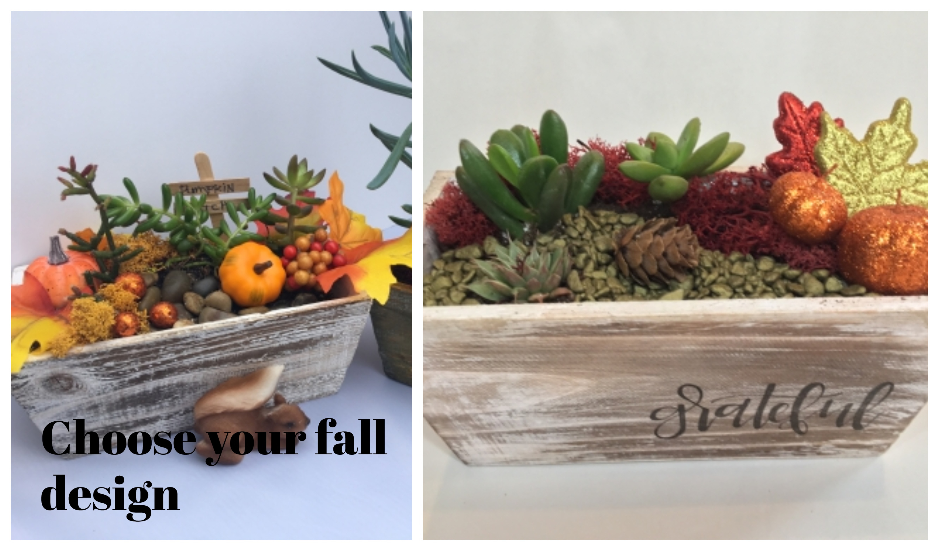 A Choose to Fall Today plant nite project by Yaymaker
