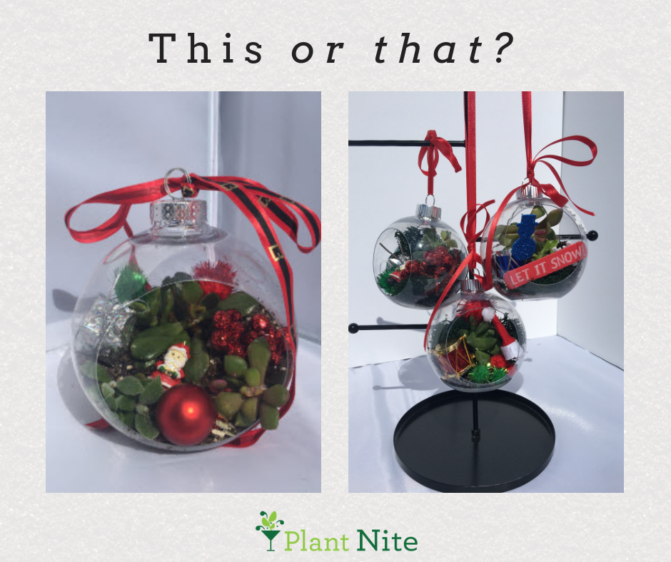 A Holiday Hanging Ornament plant nite project by Yaymaker