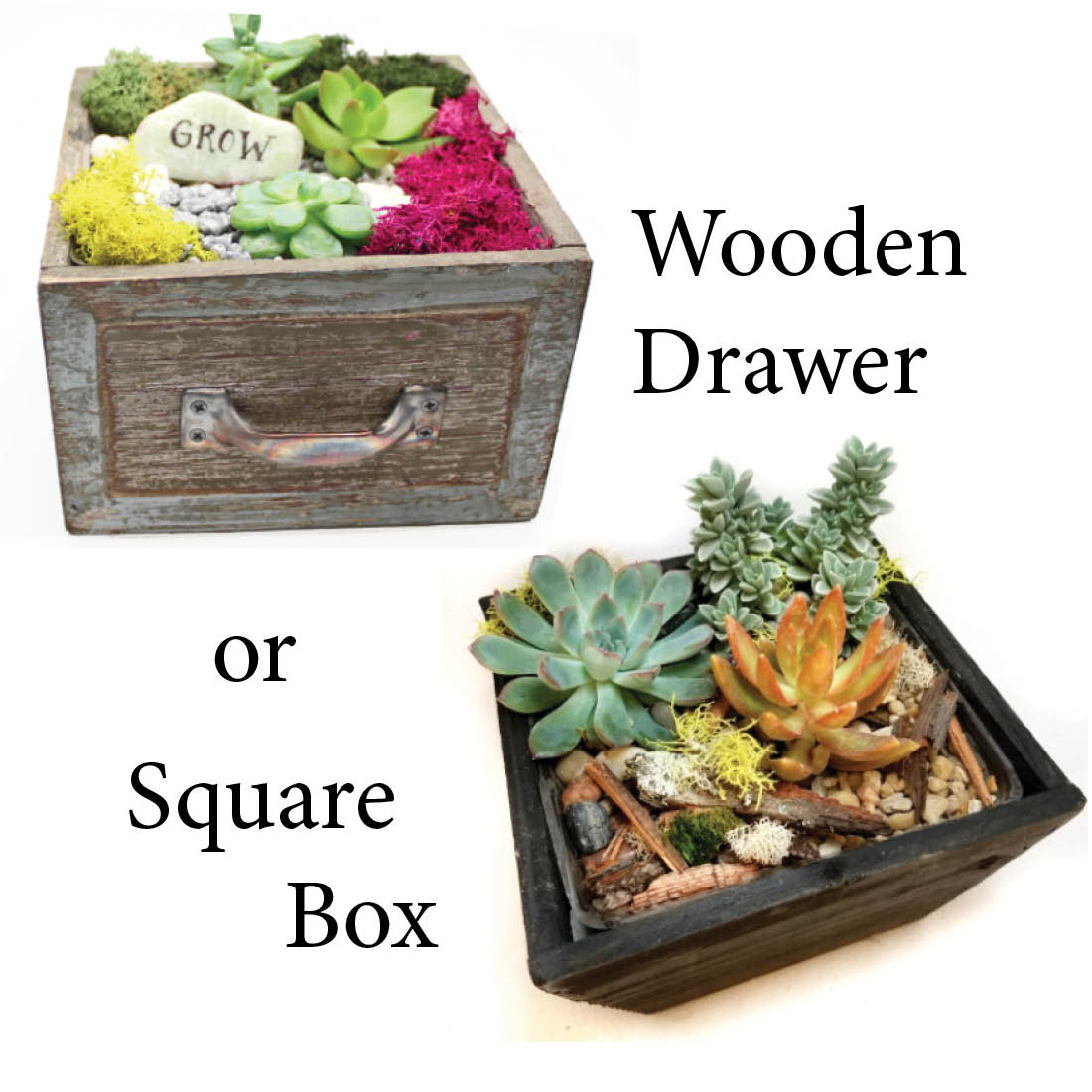 A Wooden Drawer or Square Box plant nite project by Yaymaker