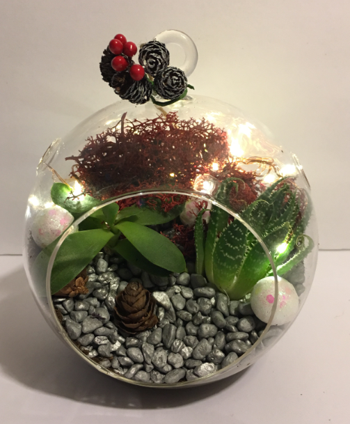 A Holiday Hanging Lights plant nite project by Yaymaker