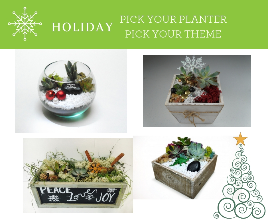 A Holiday Pick Your Planter plant nite project by Yaymaker
